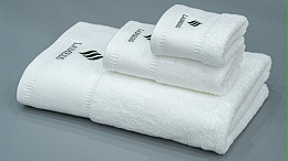 What are the four towels we often say are in the guest room?