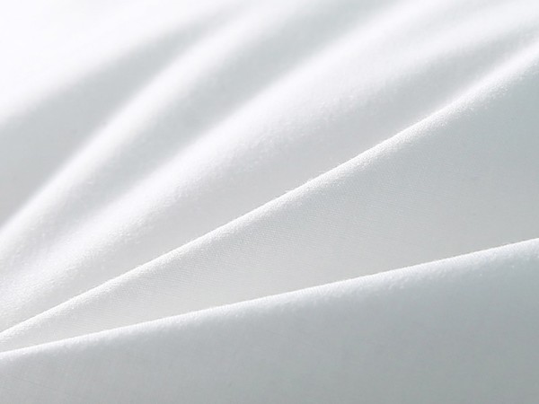 Down pillow core