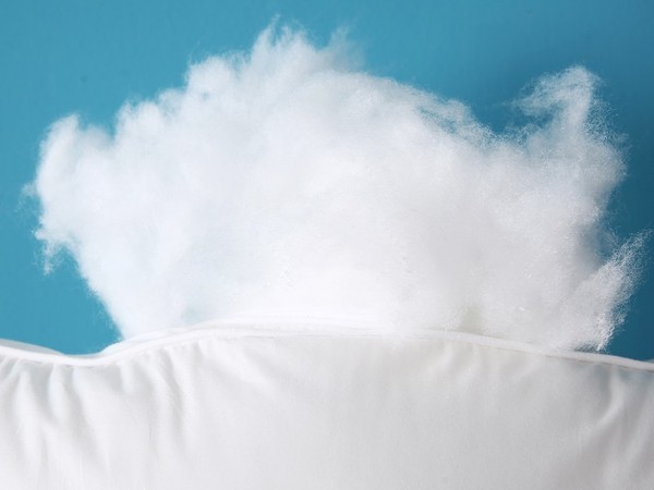 Down pillow core