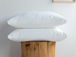 Down pillow core